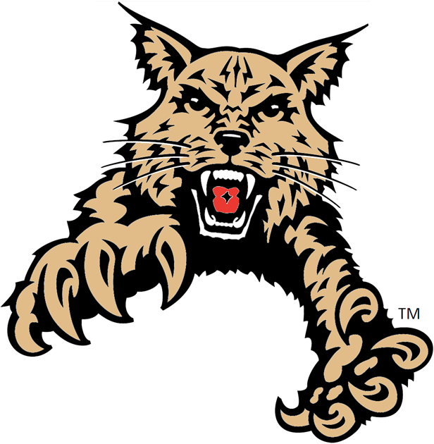 Abilene Christian Wildcats 1997-2012 Partial Logo diy iron on heat transfer